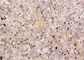 Liquid granite stone paint factory directly for exterior wall decoration