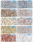 No Toxic Stoneffects Stone Coating Granite Stone Paint For Exterior Wall